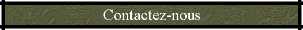 Contactez-nous